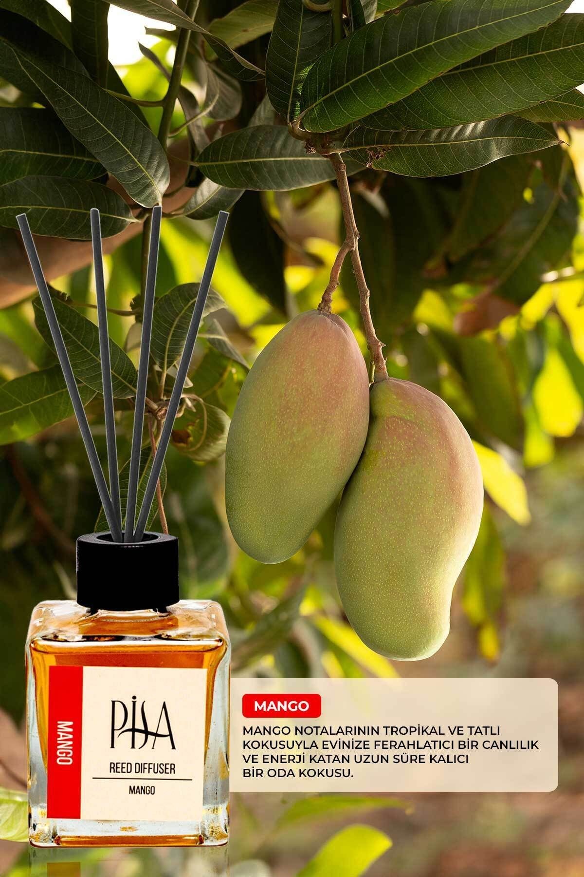 Mango Çubuklu Oda Kokusu Reed Diffuser 100ml