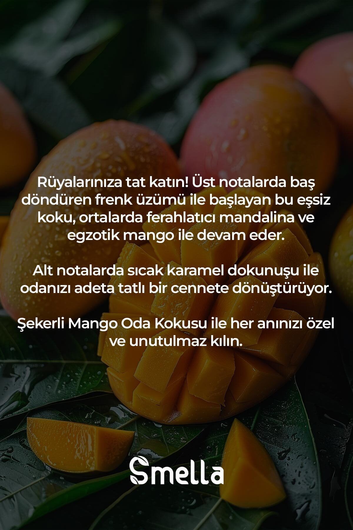 Şekerli Mango Premium Çubuklu Oda Kokusu Sweet Mango Reed Diffuser 100ml