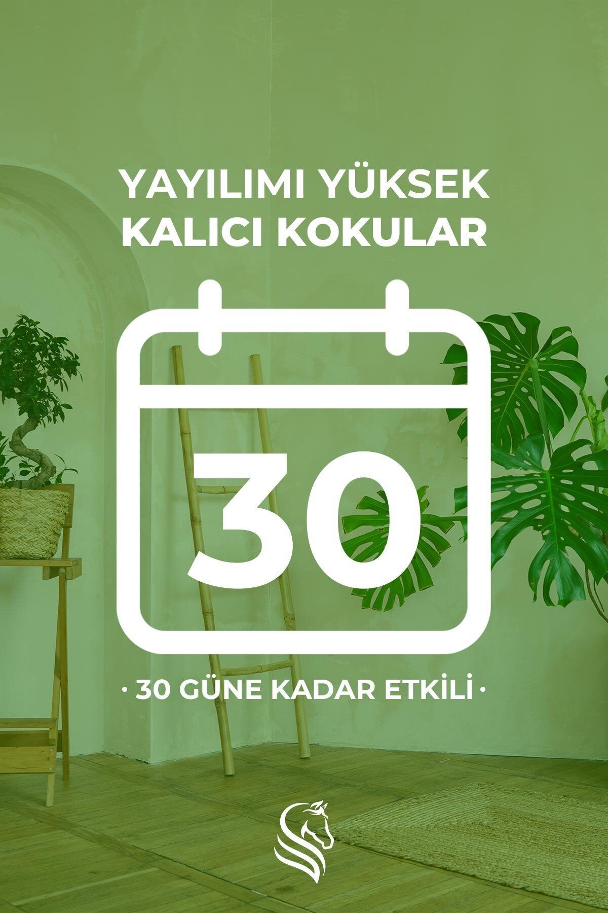 Beyaz Gül Çubuklu Oda Kokusu White Rose Reed Diffuser 100ml