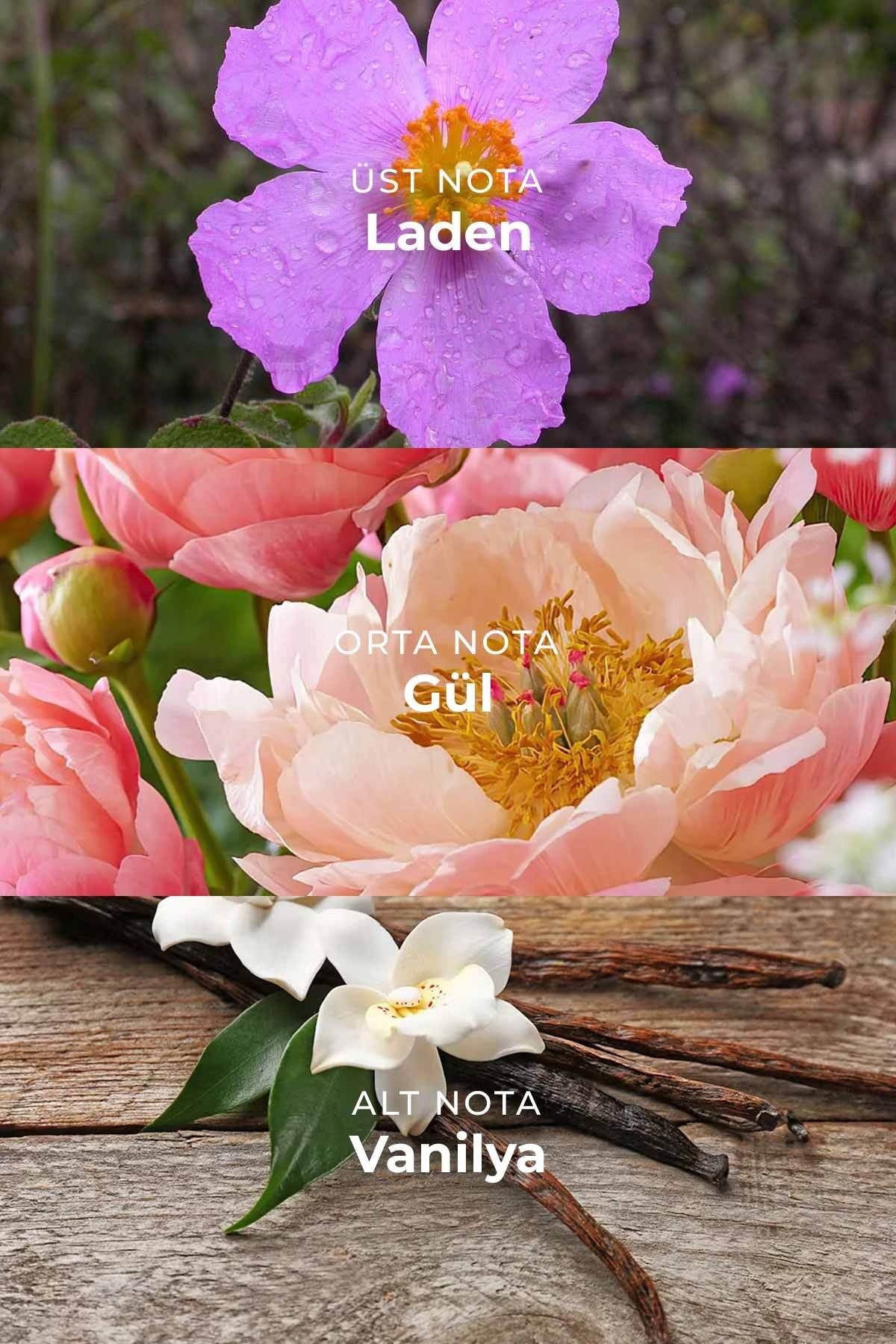 - Bambu Çubuklu Oda Kokusu - Angel - 100ml