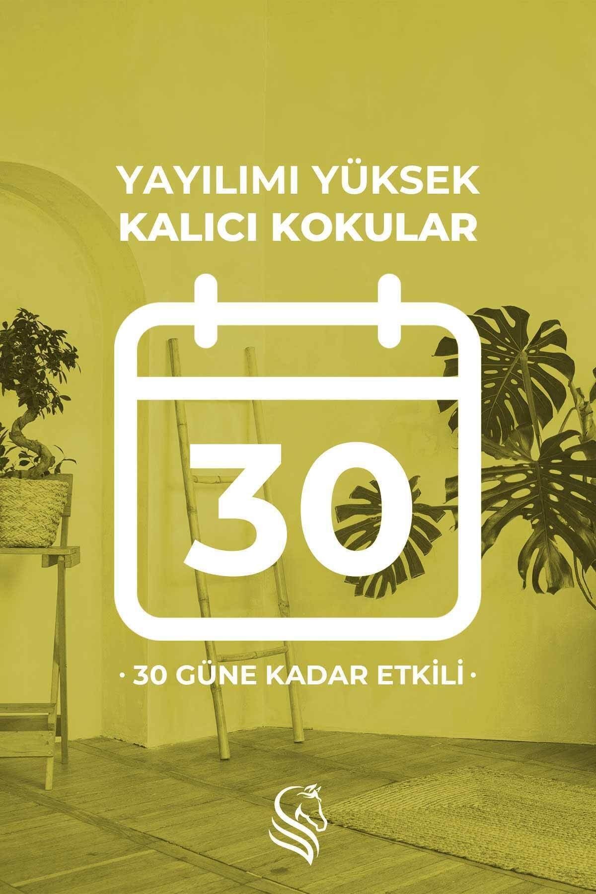 Hanımeli Çubuklu Oda Kokusu Honeysuckle Reed Diffuser 100ml