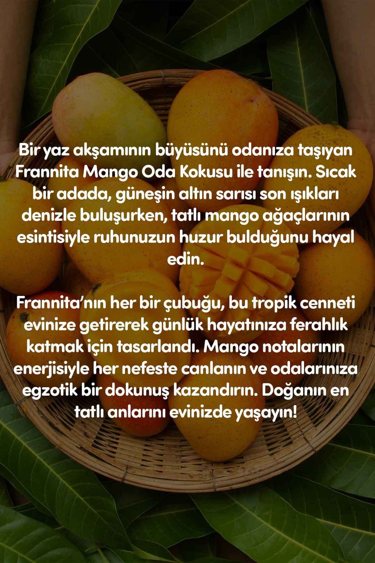 Esans Oranı Yüksek 100 Ml Mango Kokulu Oda Kokusu 1 Adet