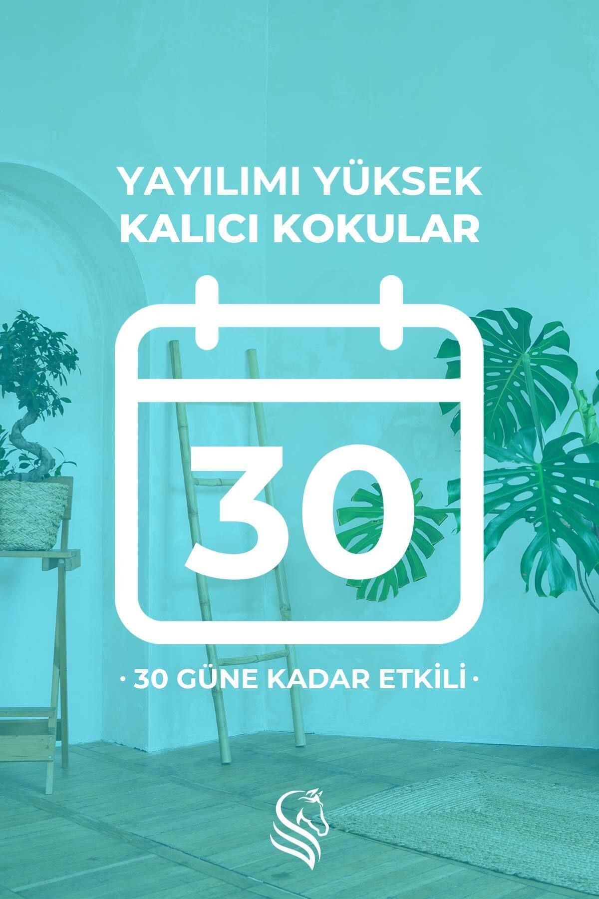 Temizlik Hissi Çubuklu Oda Kokusu Clean Breeze Reed Diffuser 100ml