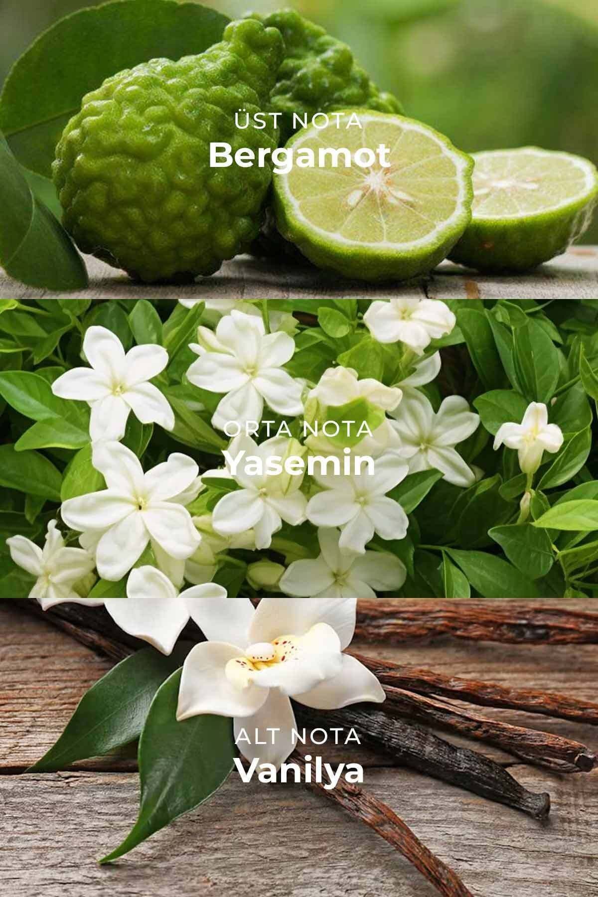 Flowers Bouquet M. Way 100ml Edp Kadın Parfüm