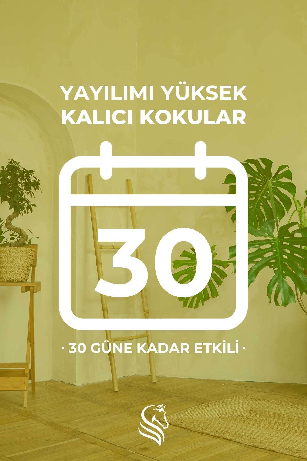 Şeftali Kokusu Çubuklu Oda Kokusu Peach Reed Diffuser 100ml