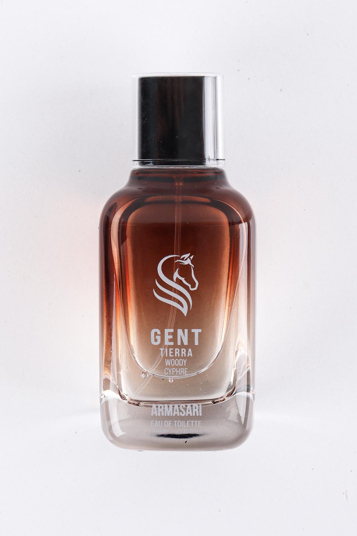 Gent Tierra Odunsu Uzun Süre Kalıcı 100 ml Edt Erkek Parfüm