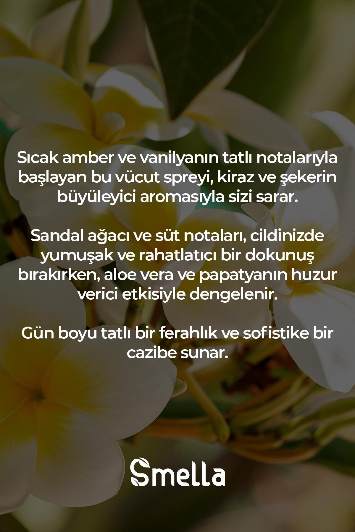 Vanilla Amber Parfümlü Kadın Vücut Spreyi Vücut Kokusu Vücut Misti Body Mist Spray 250ml