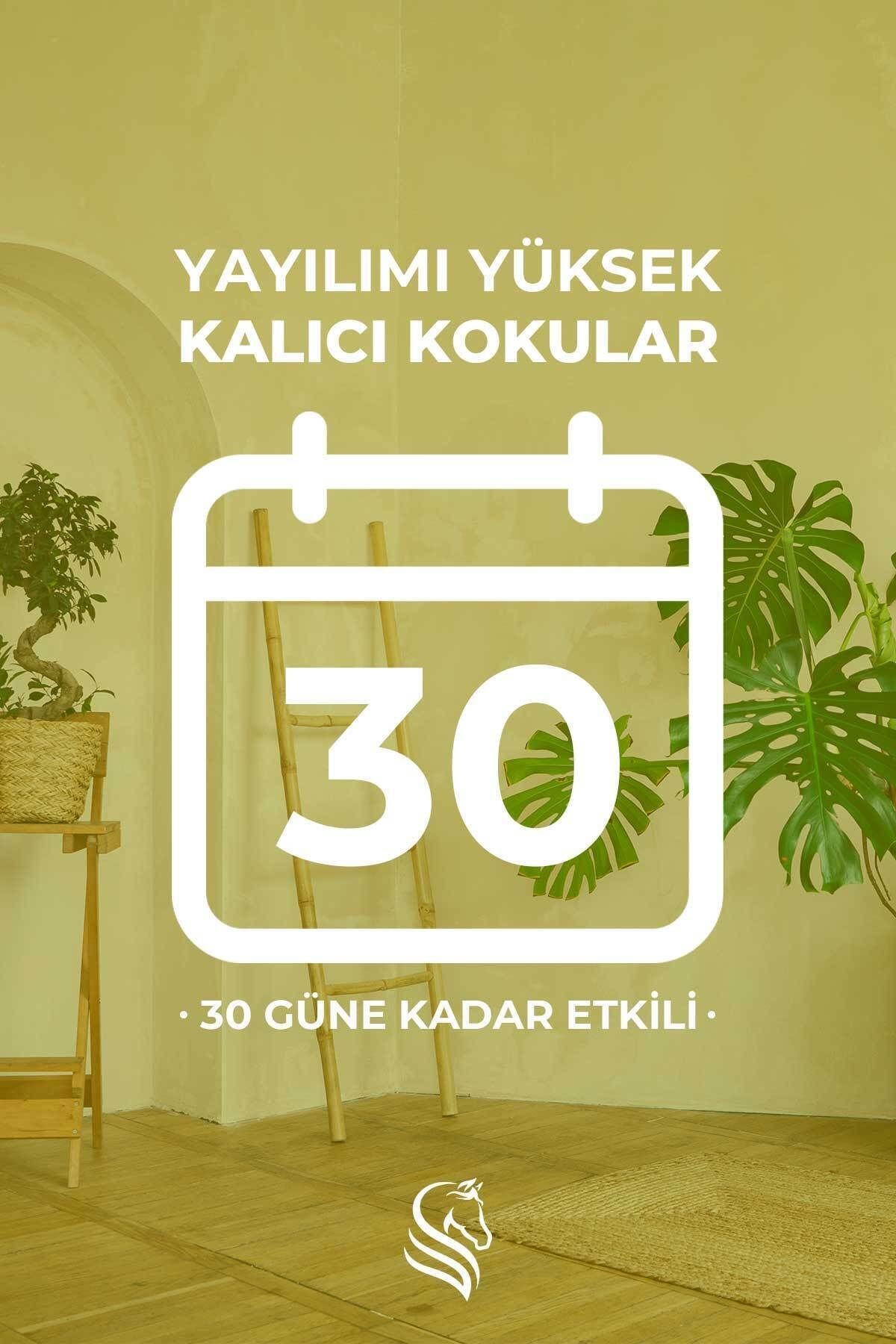 Hanımeli Çubuklu Oda Kokusu 100ml