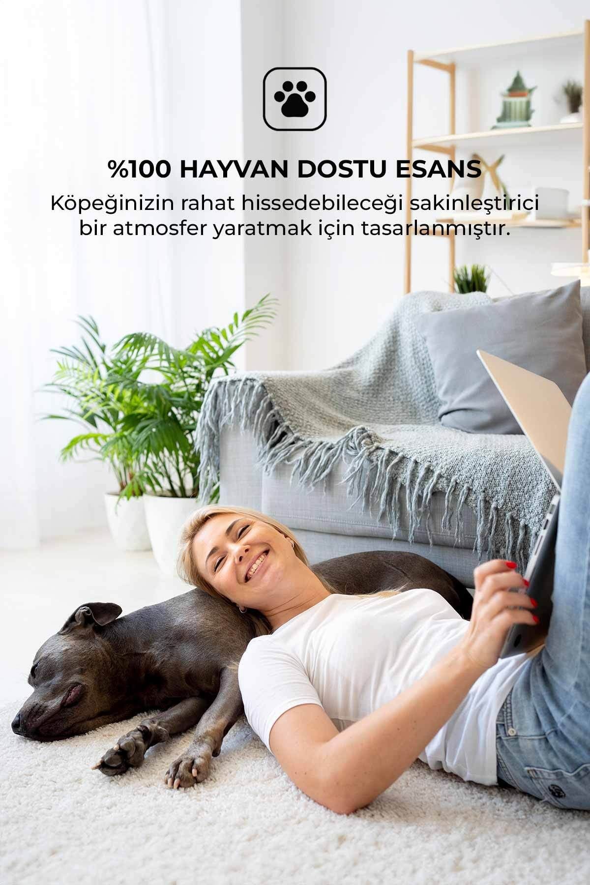 Köpekler Için Özel Mango Oda Kokusu Dog Mango Reed Diffuser 100ml
