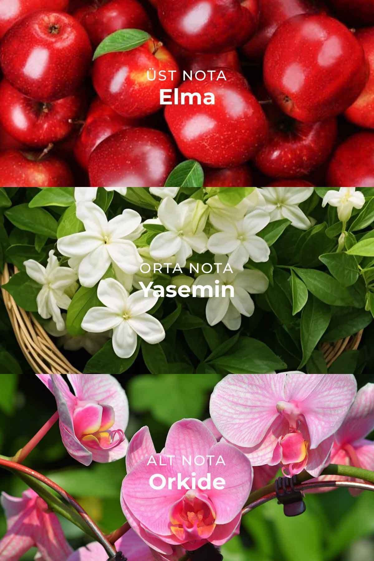 Çiçekli Dekoratif Özel Gün Hediye Kutulu Temizlik Hissi Oda Kokusu 100ml