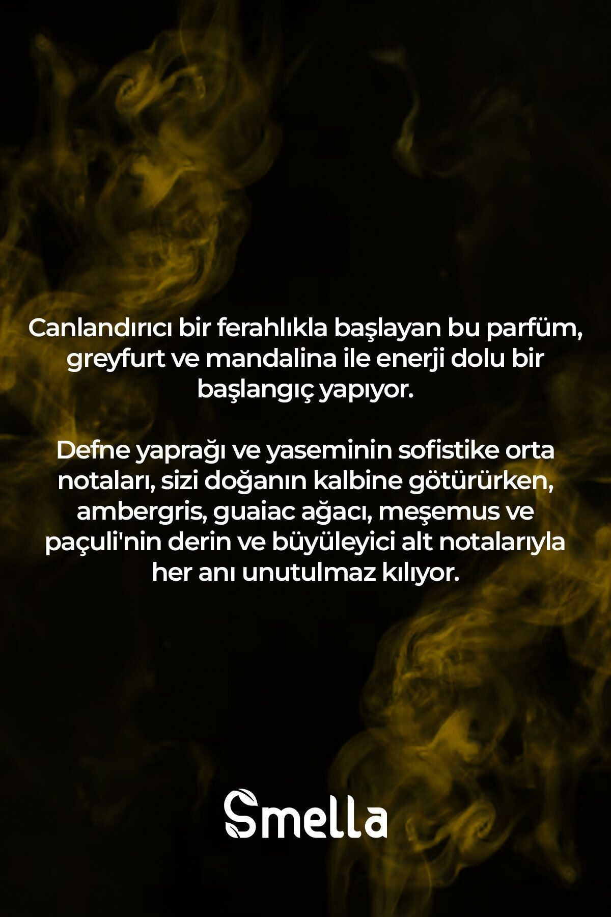 London Fresh Özel Seri Uzun Süre Kalıcı 100 ml Erkek Parfüm