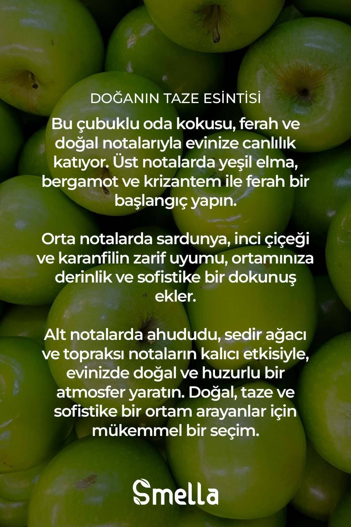 Yağmur Sonrası Çubuklu Oda Kokusu After Rain Reed Diffuser 50ml