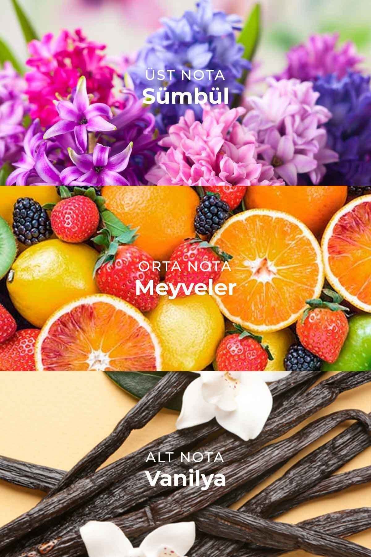 Sümbül Çubuklu Oda Kokusu Hyacinth Reed Diffuser 100ml