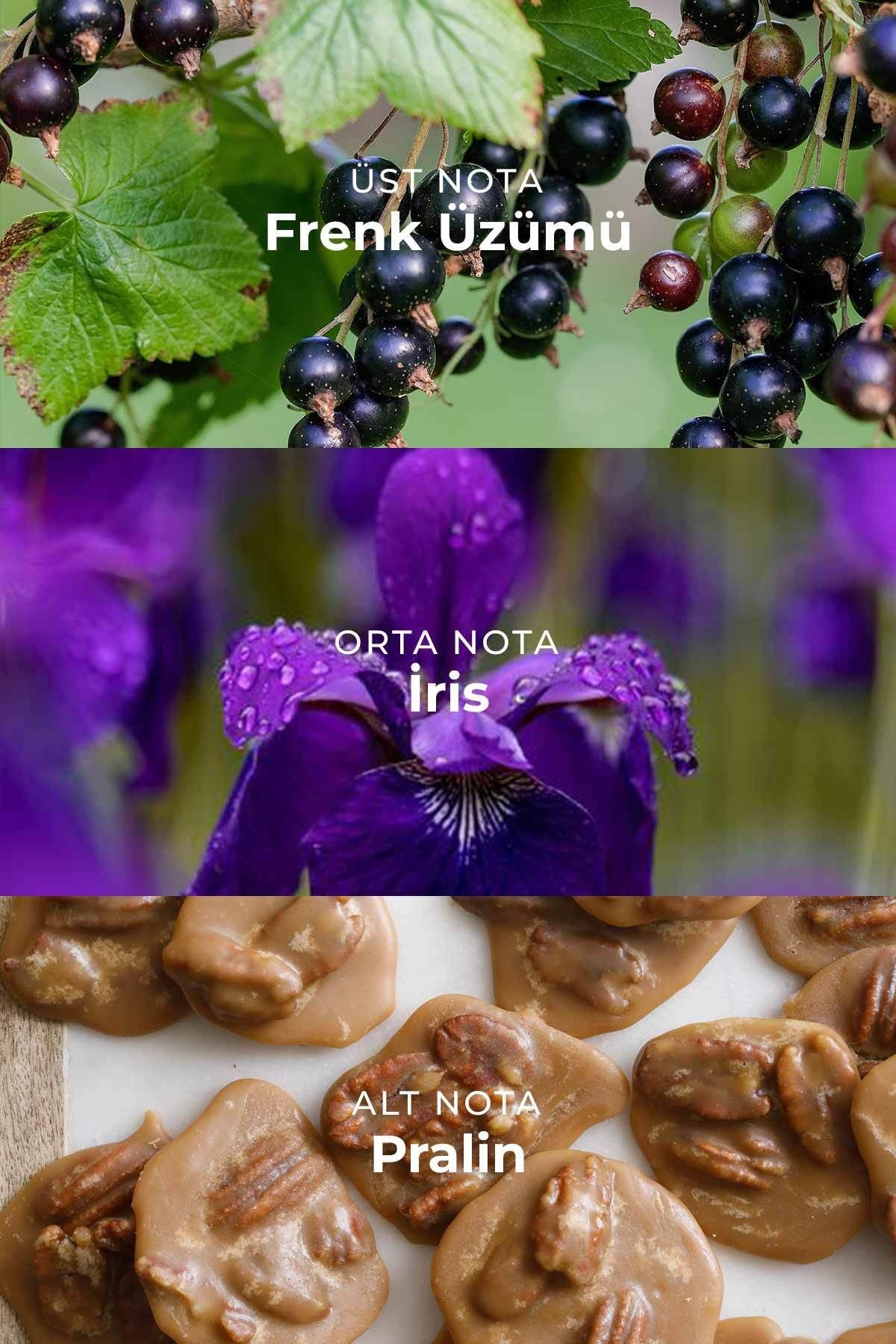 Grand Kadın Parfümü W-022