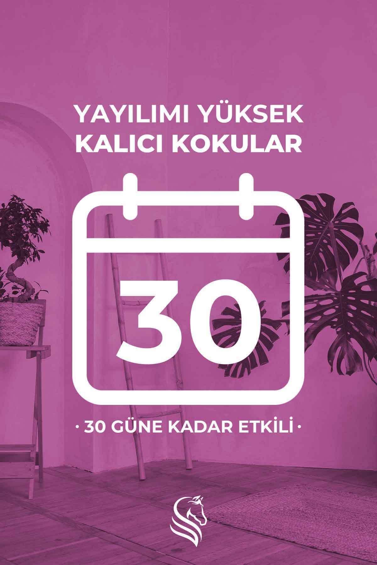 Spring Fresh Oda Spreyi 400 ml