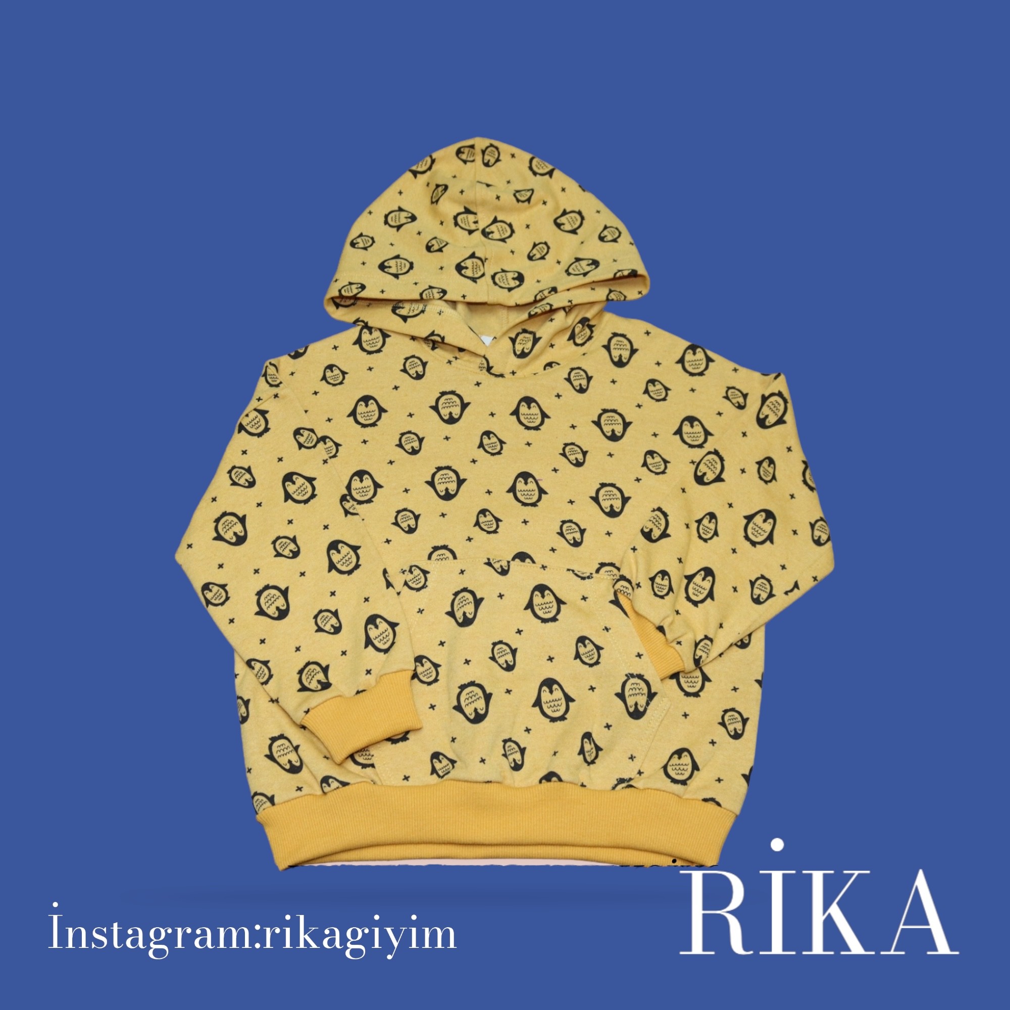 RİKA-Sweatshirt İn Kapüşonlu