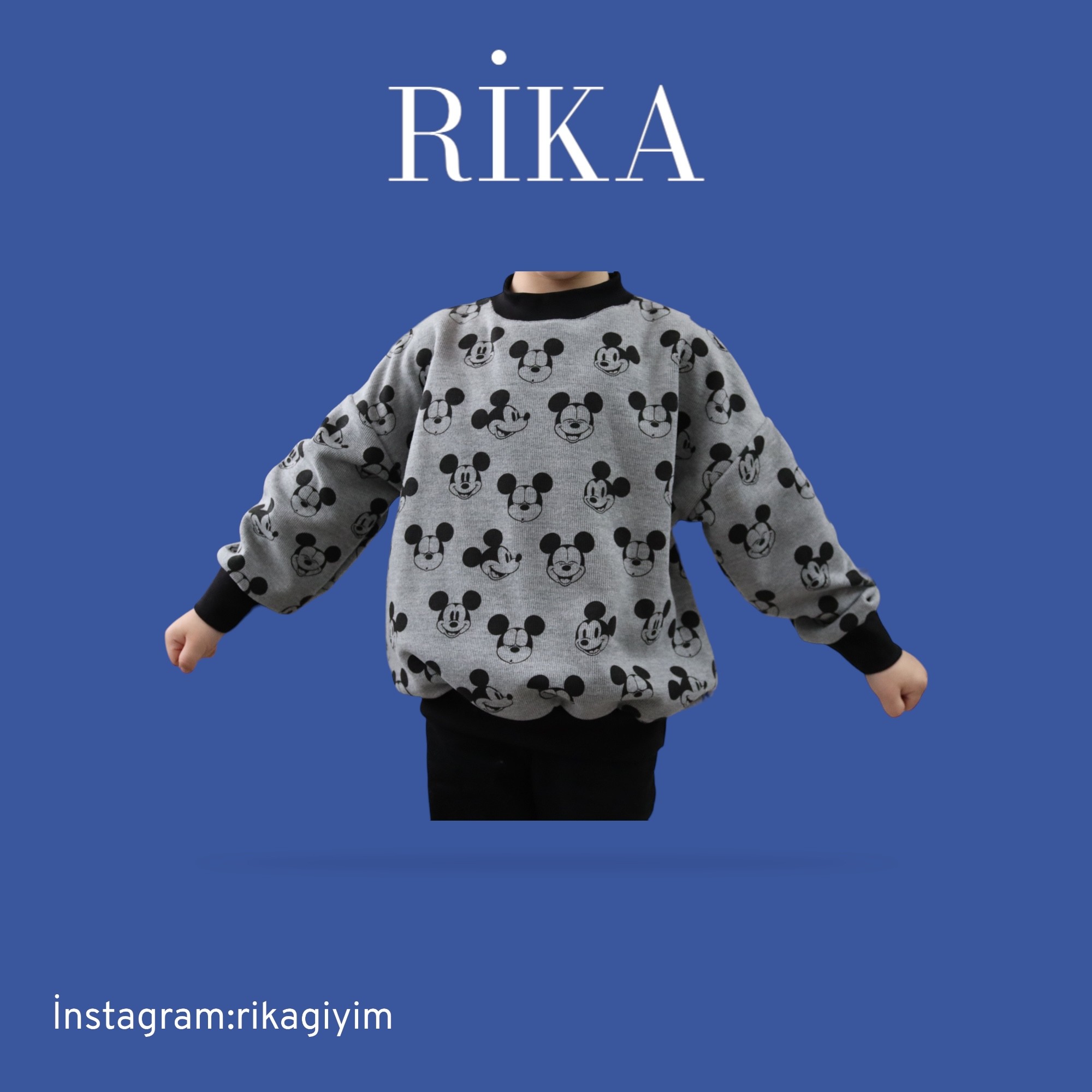 RİKA-Sweatshirt İn Gri