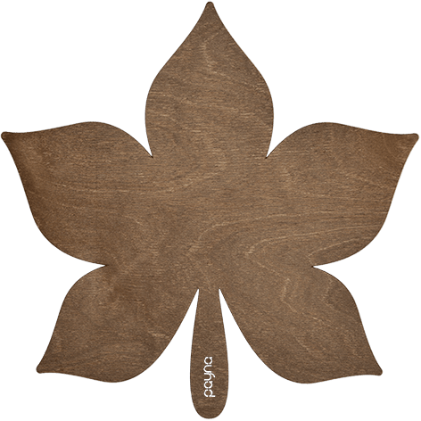 Sycamore-2 Ahşap Supla Takımı - Ceviz