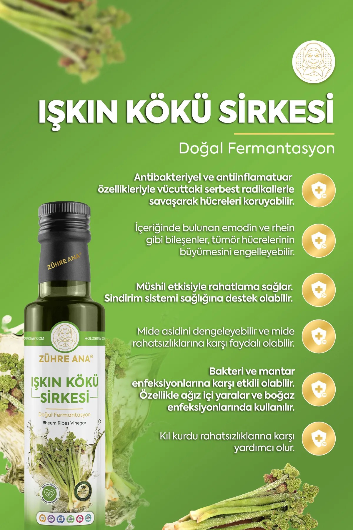 ZÜHRE ANA IŞKIN KÖKÜ SİRKESİ