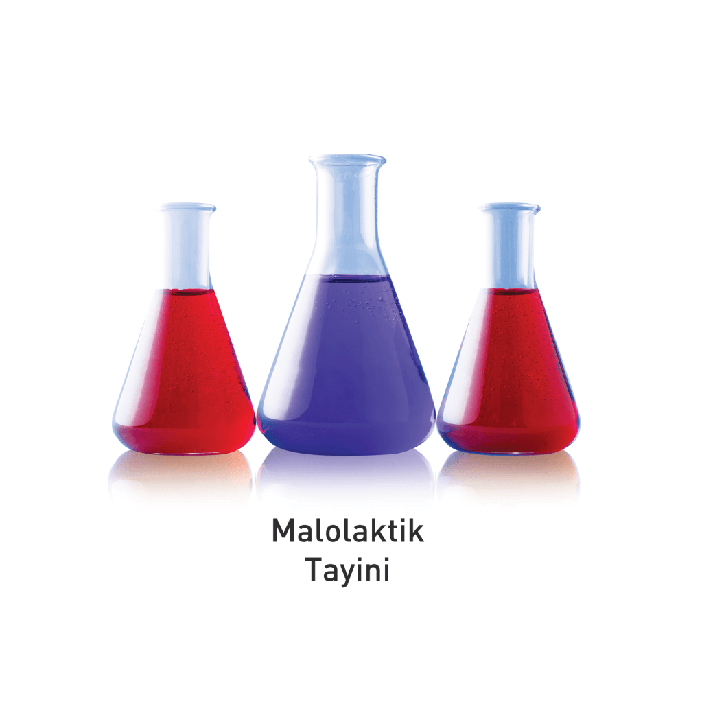 Malolaktik Tayini