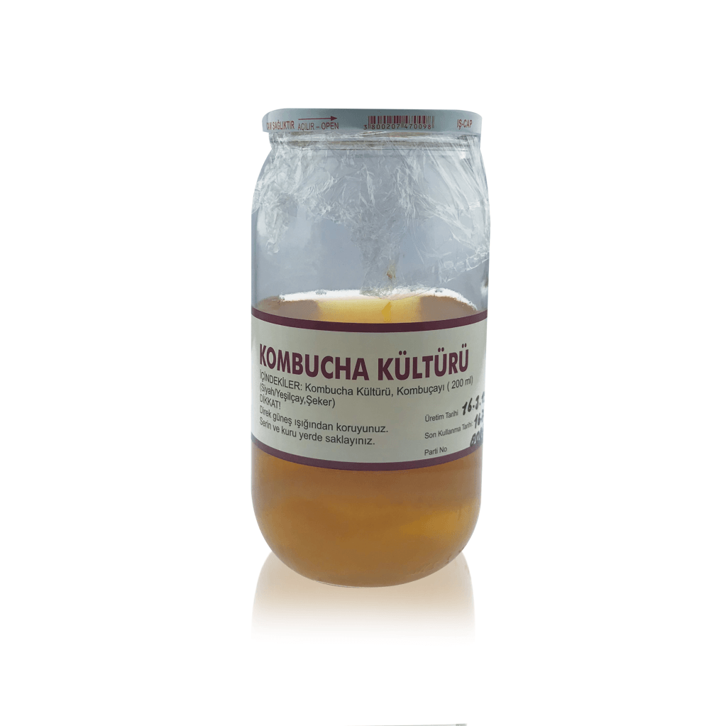 Kombucha Kültürü (SCOBY)