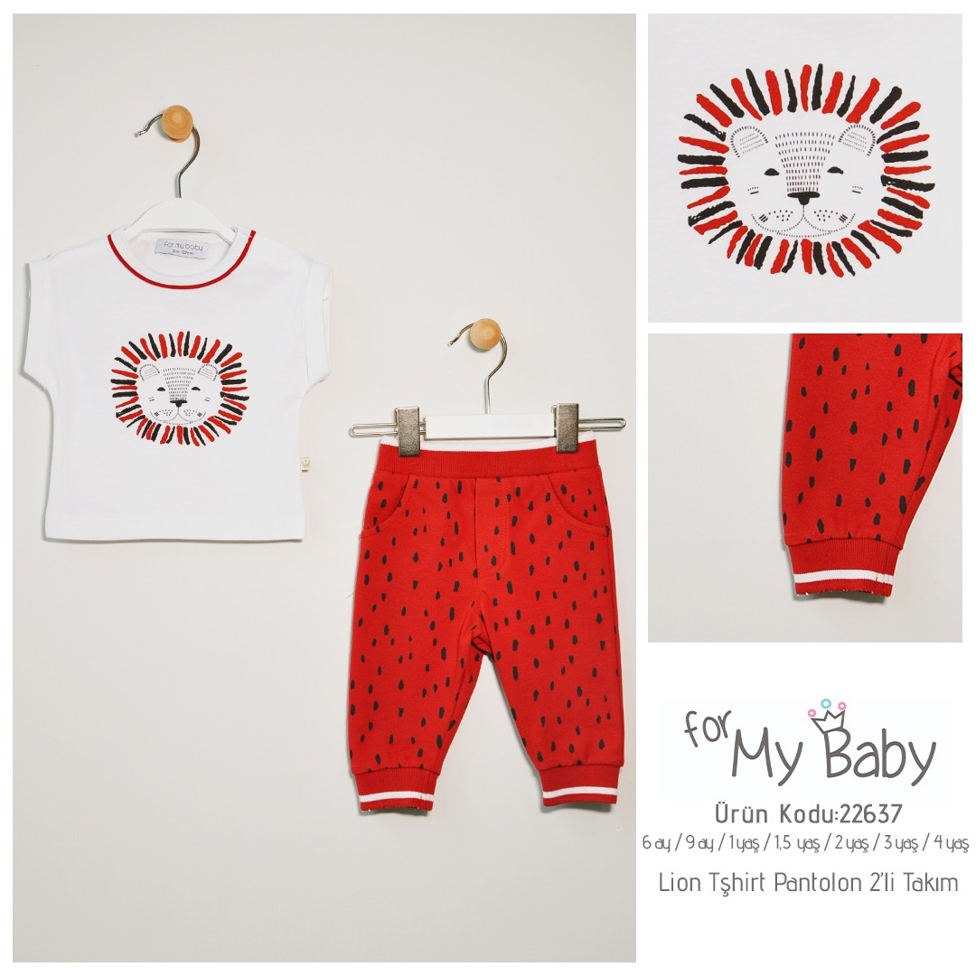 ForMyBaby - LİON TSHIRT 2'Lİ TAKIM