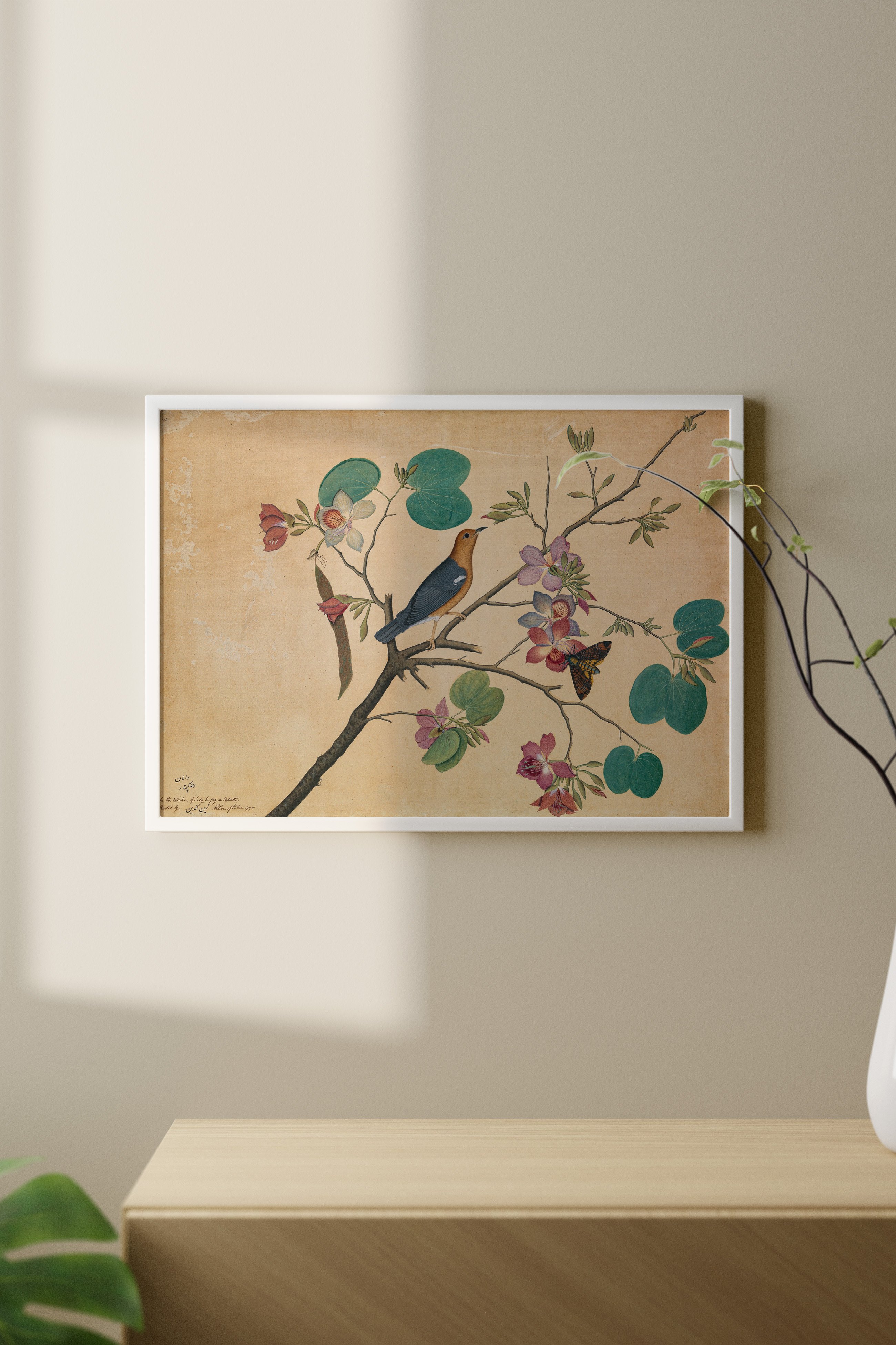 Şeyh Zeyneddin - Orkide Dalındaki Ardıç Kuşu Poster