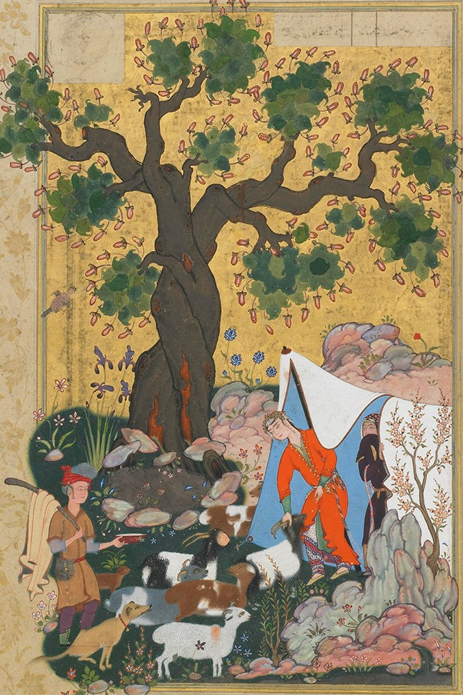 Molla Cami - Koyun Kılığındaki Mecnun Minyatür Poster