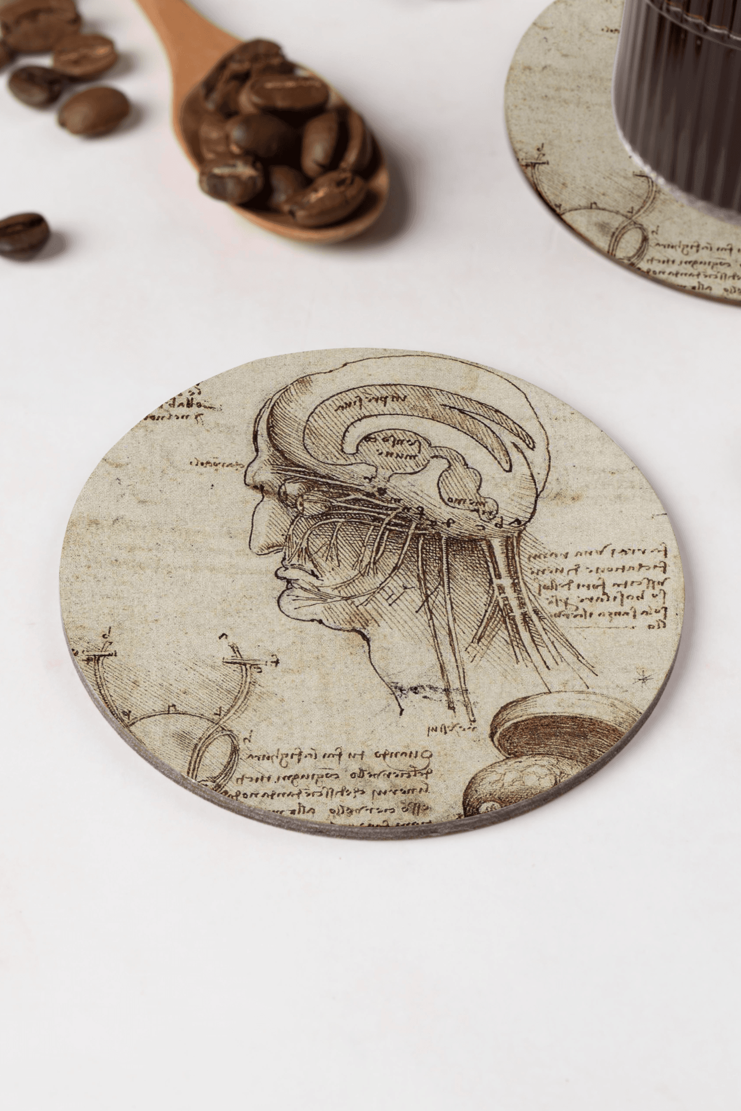 Leonardo da Vinci - İnsan Beyni Bardak Altlığı