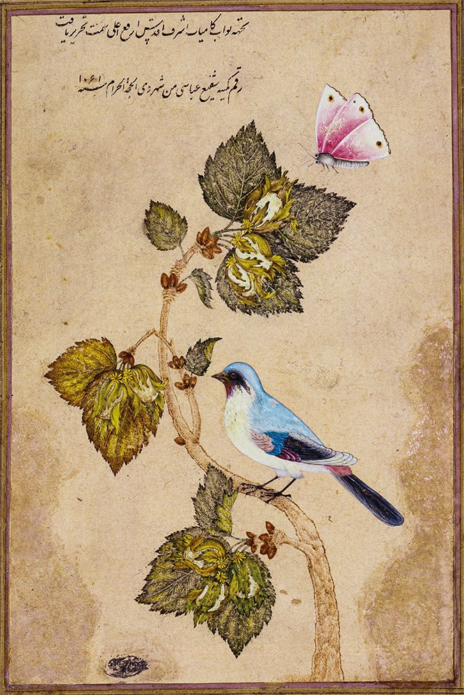 Şafi Abbasi - Fındık Dalındaki Kuş Minyatür Poster