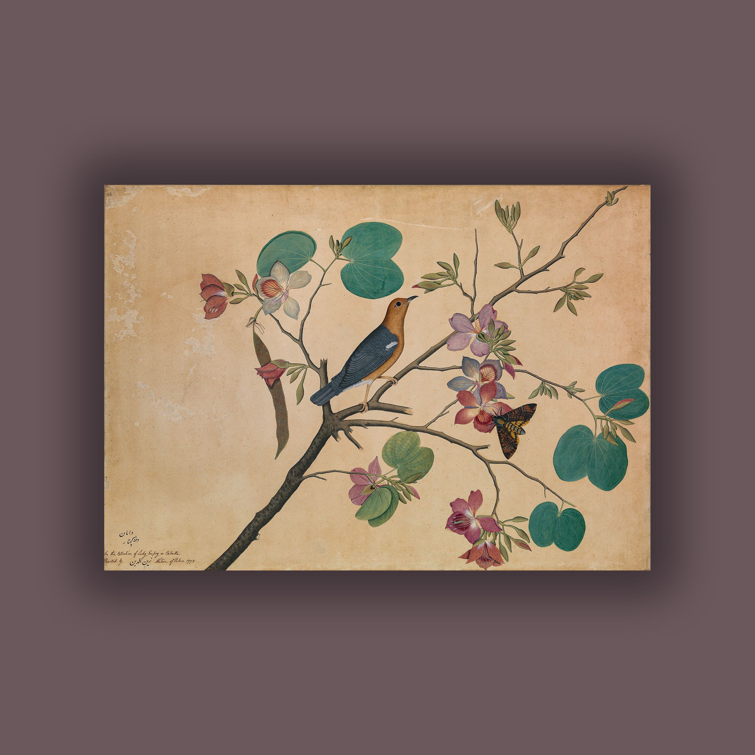 Şeyh Zeyneddin - Orkide Dalındaki Ardıç Kuşu Poster