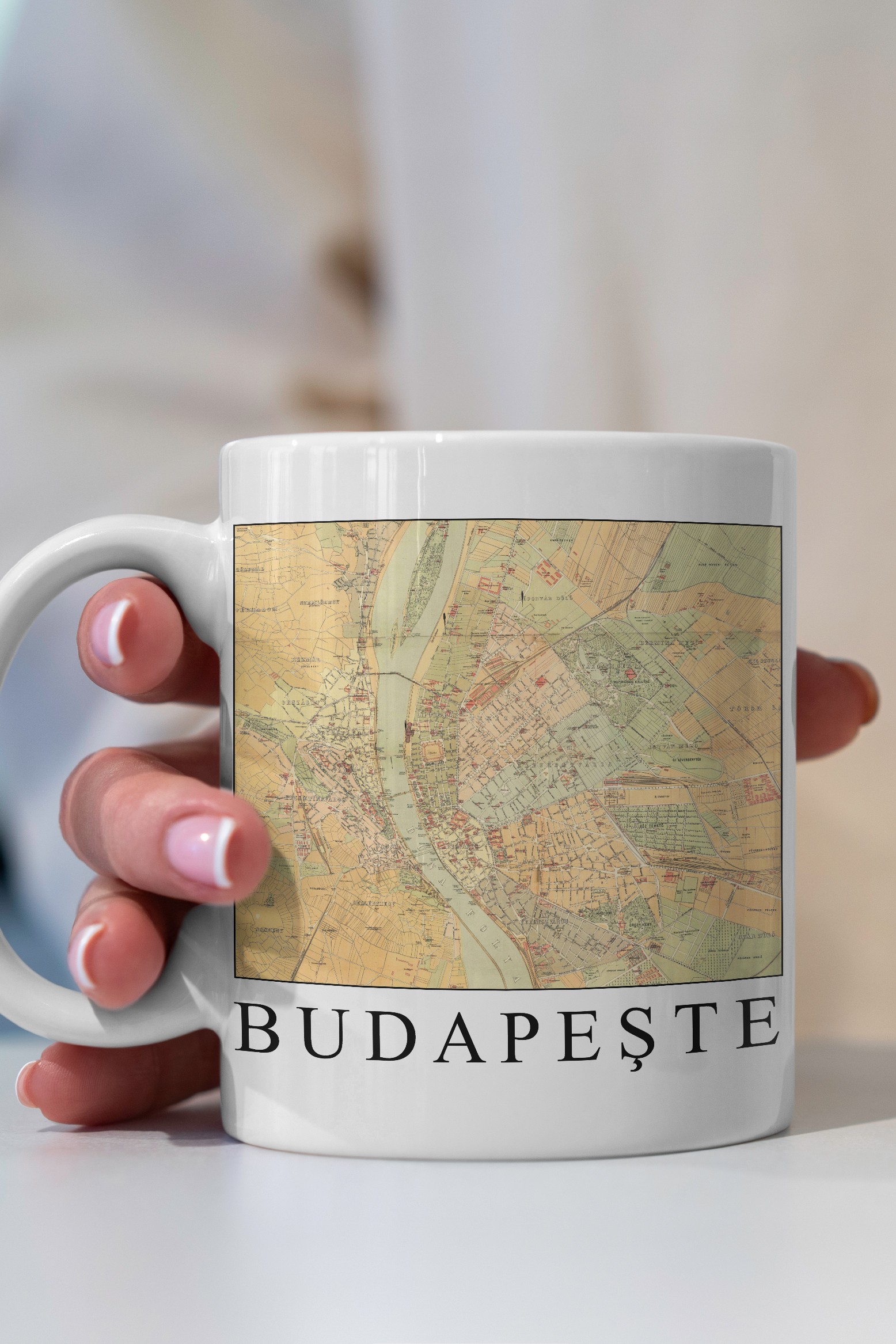 Budapeşte Haritası (1884) Kupa Bardak