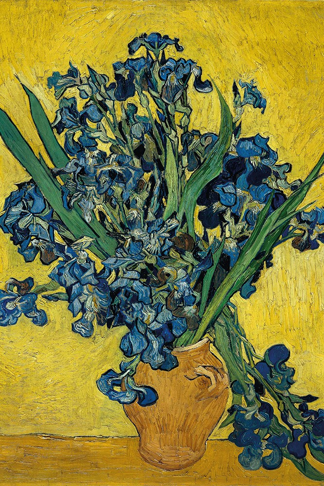 Vincent van Gogh - Süsenler Poster