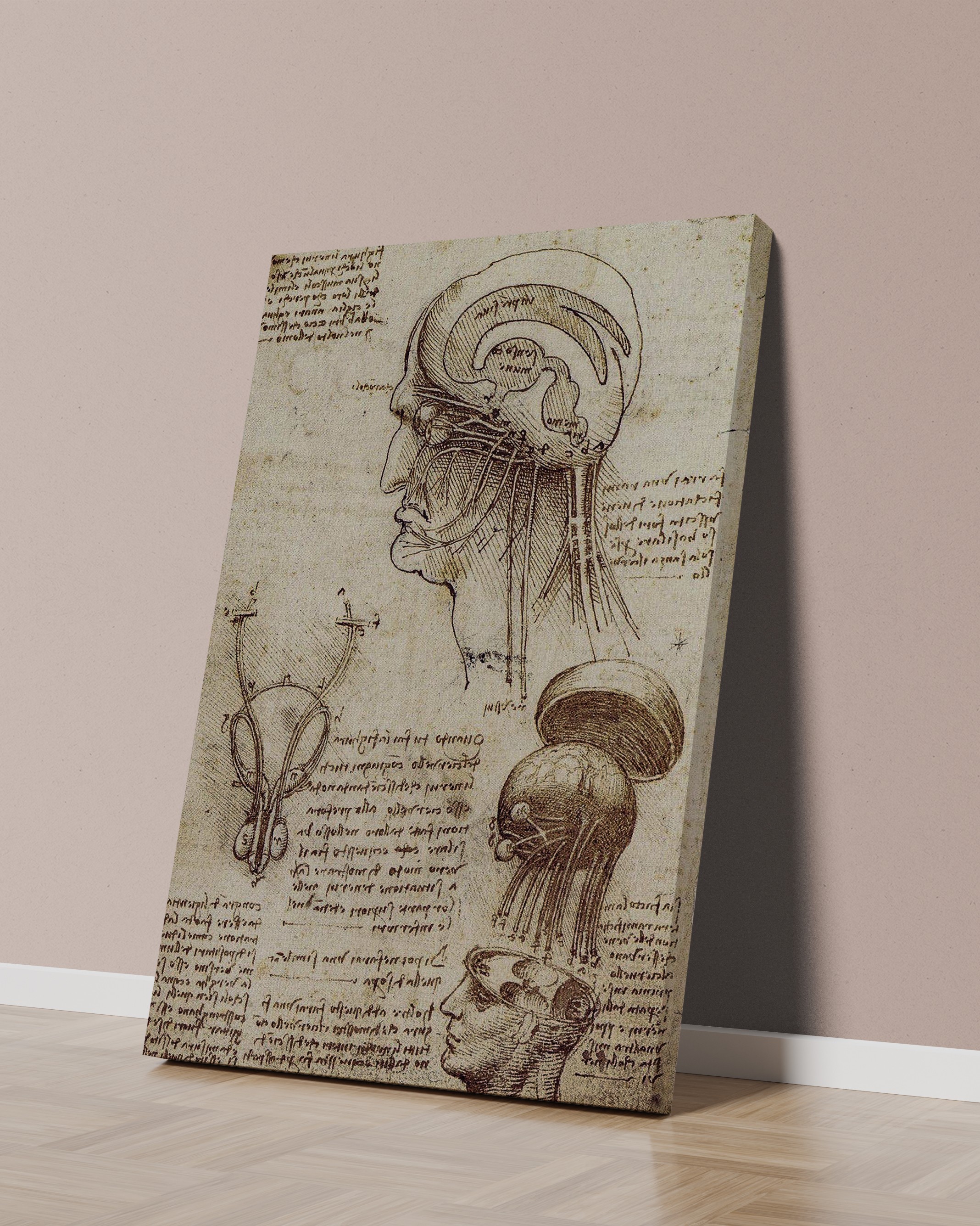Leonardo da Vinci - İnsan Beyni Kanvas Tablo