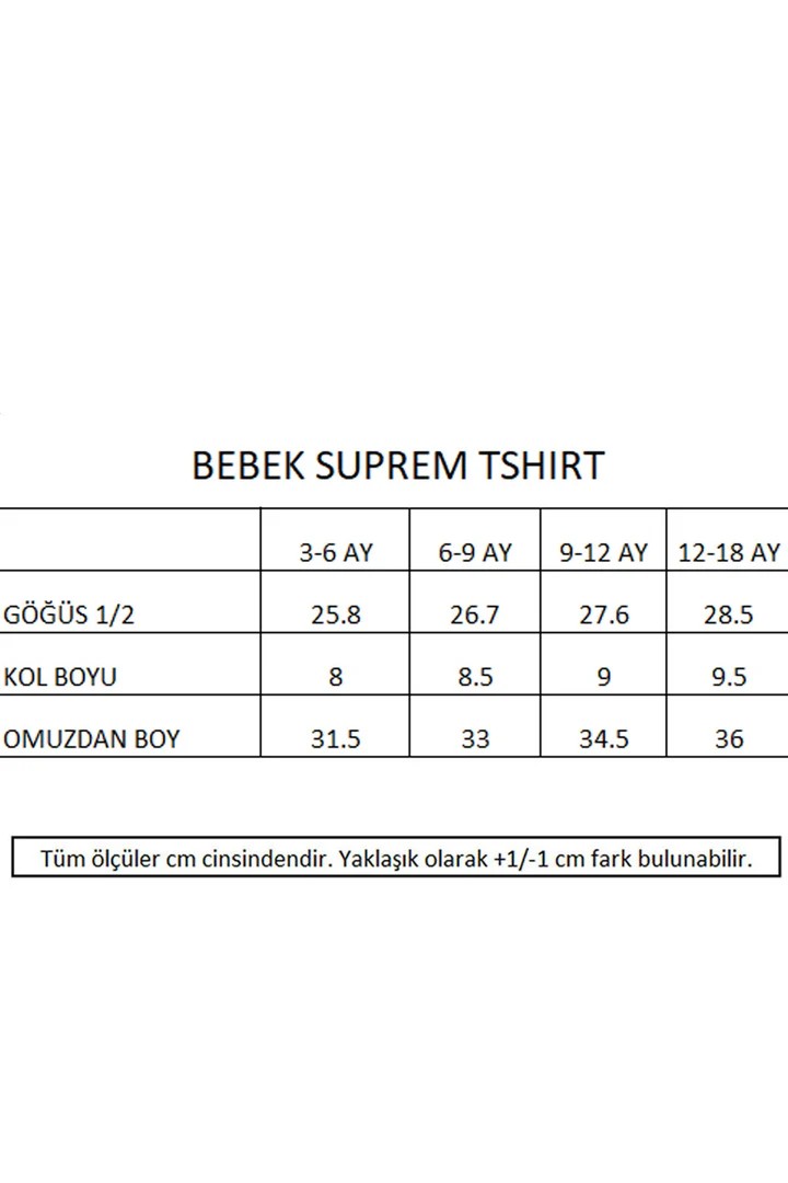 Bon Voyage Nakışlı Slogan Bebek Tshirt