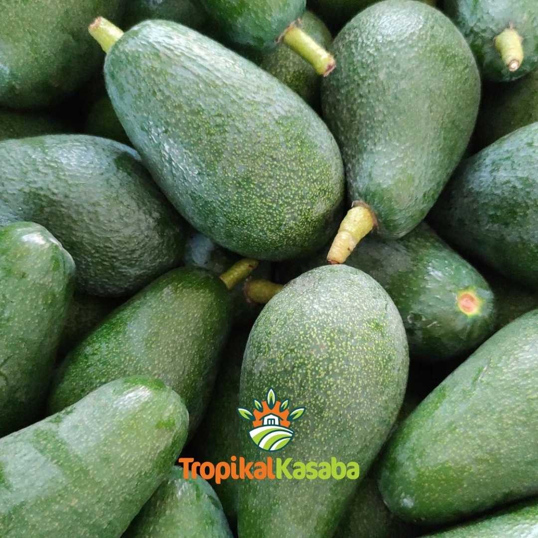 Avokado