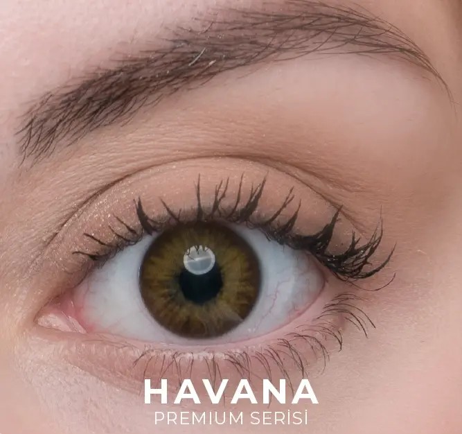 Havana