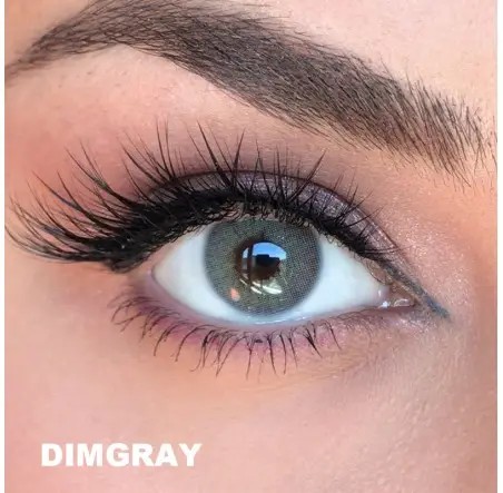 Dimgray