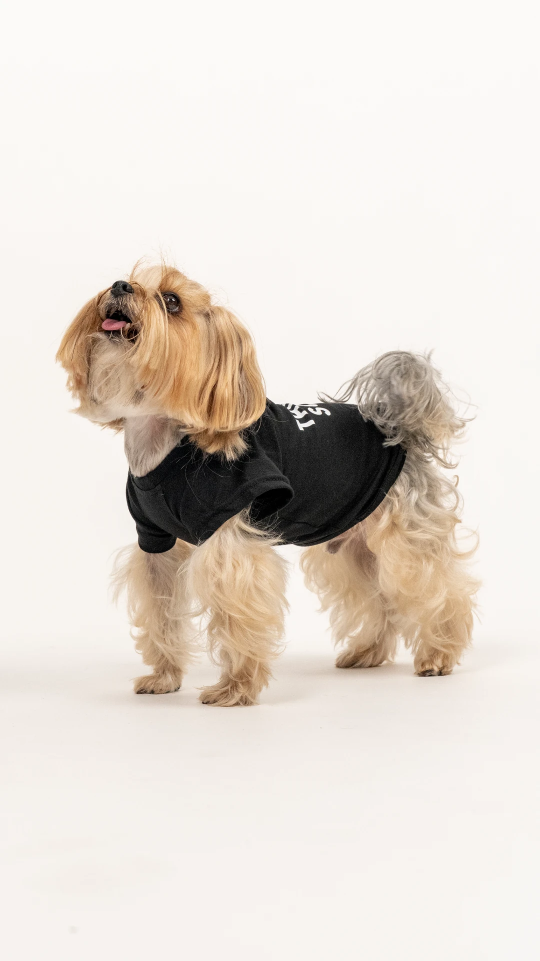 Think T-Shirt Köpek