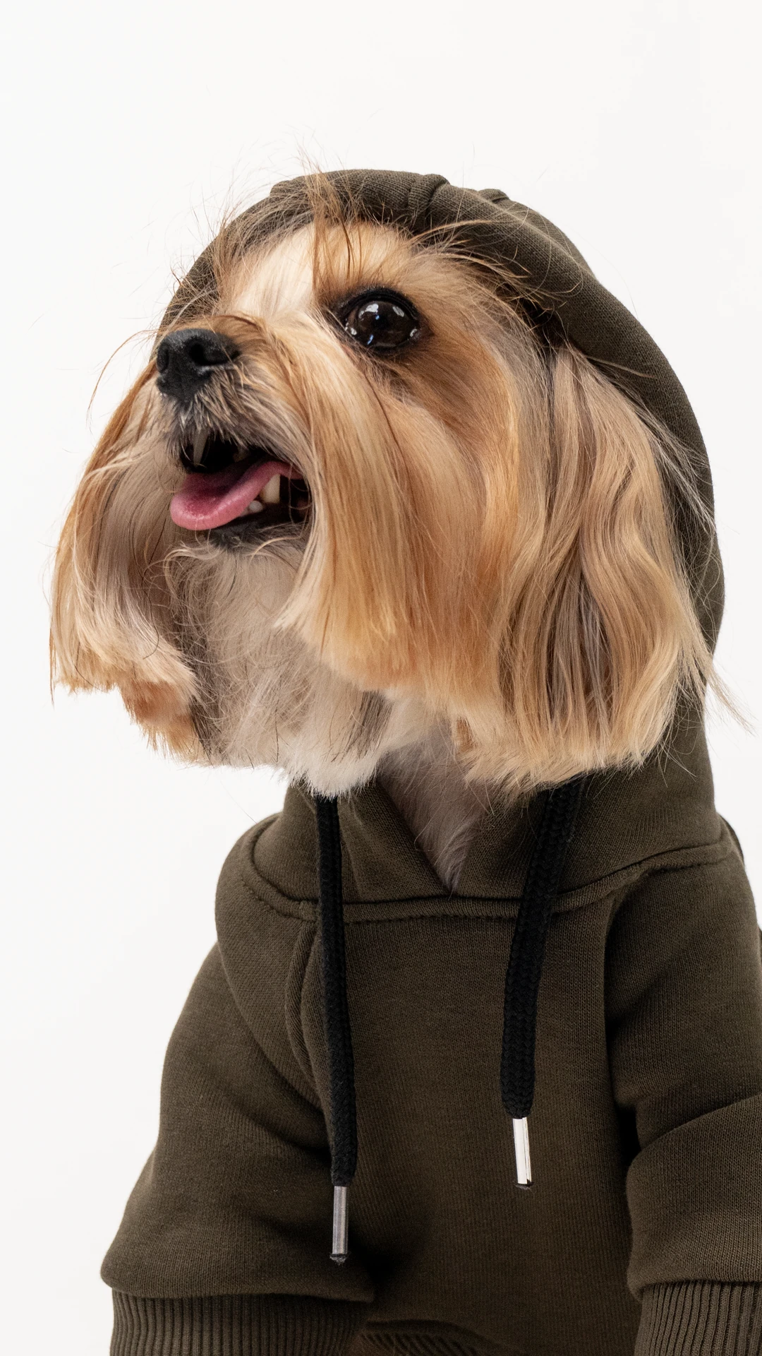 3'lü Haki Hoodie Kombin / Kadın-Erkek-Dost