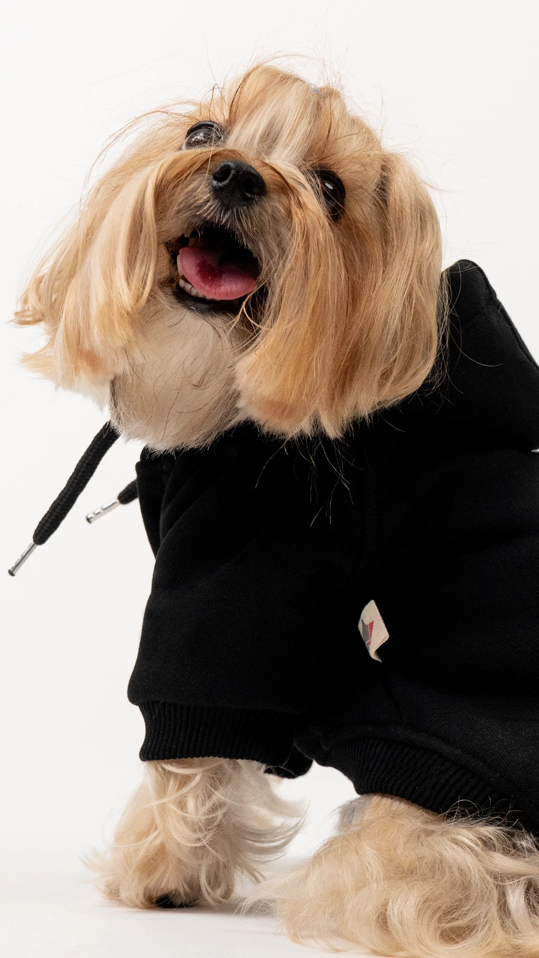 Köpek Hoodie - Siyah