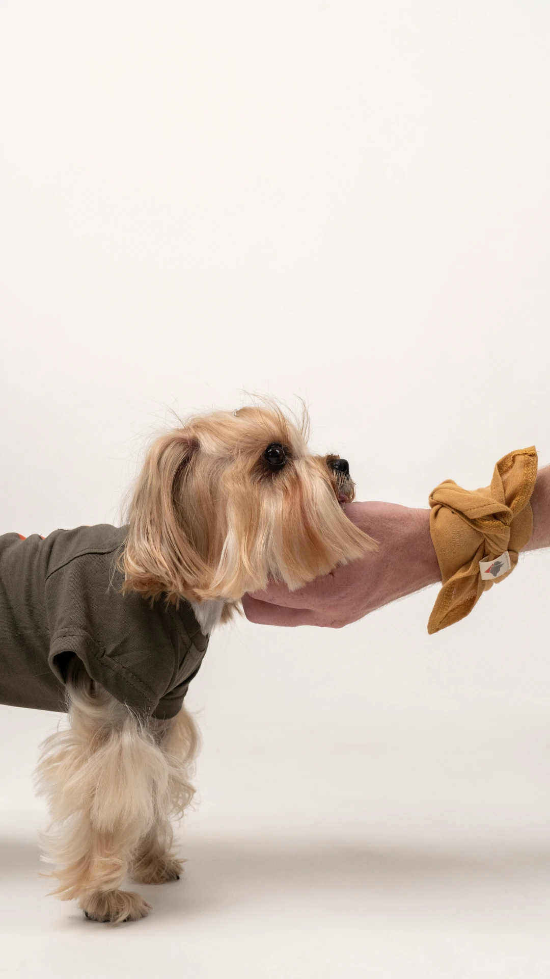 Line T-Shirt Köpek image