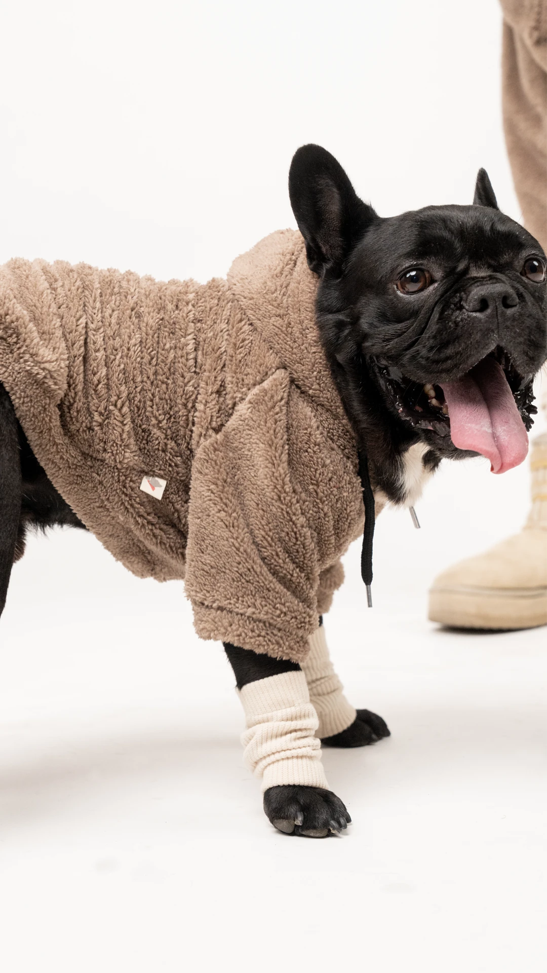 Köpek Wellsoft - Kahverengi