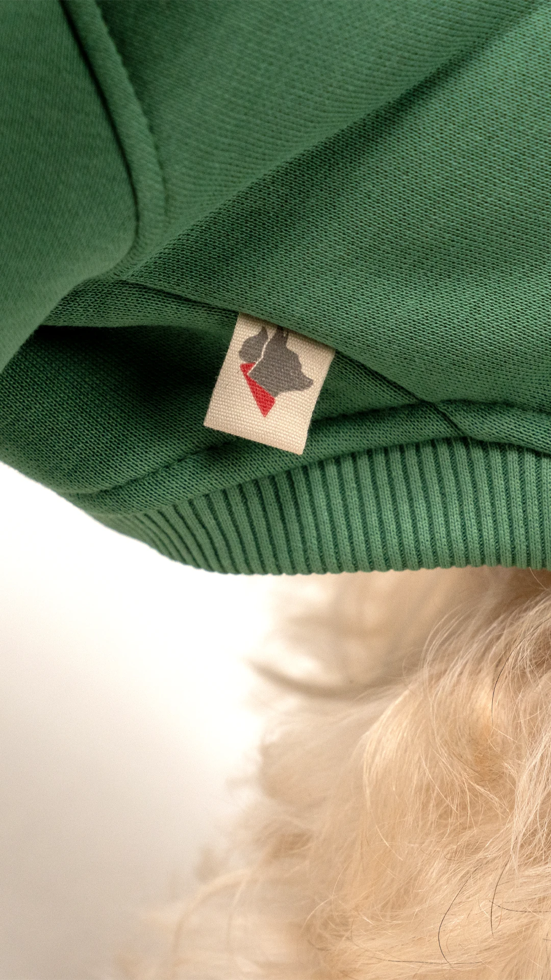 2'li Yeşil Hoodie Kombin / Unisex-Dost