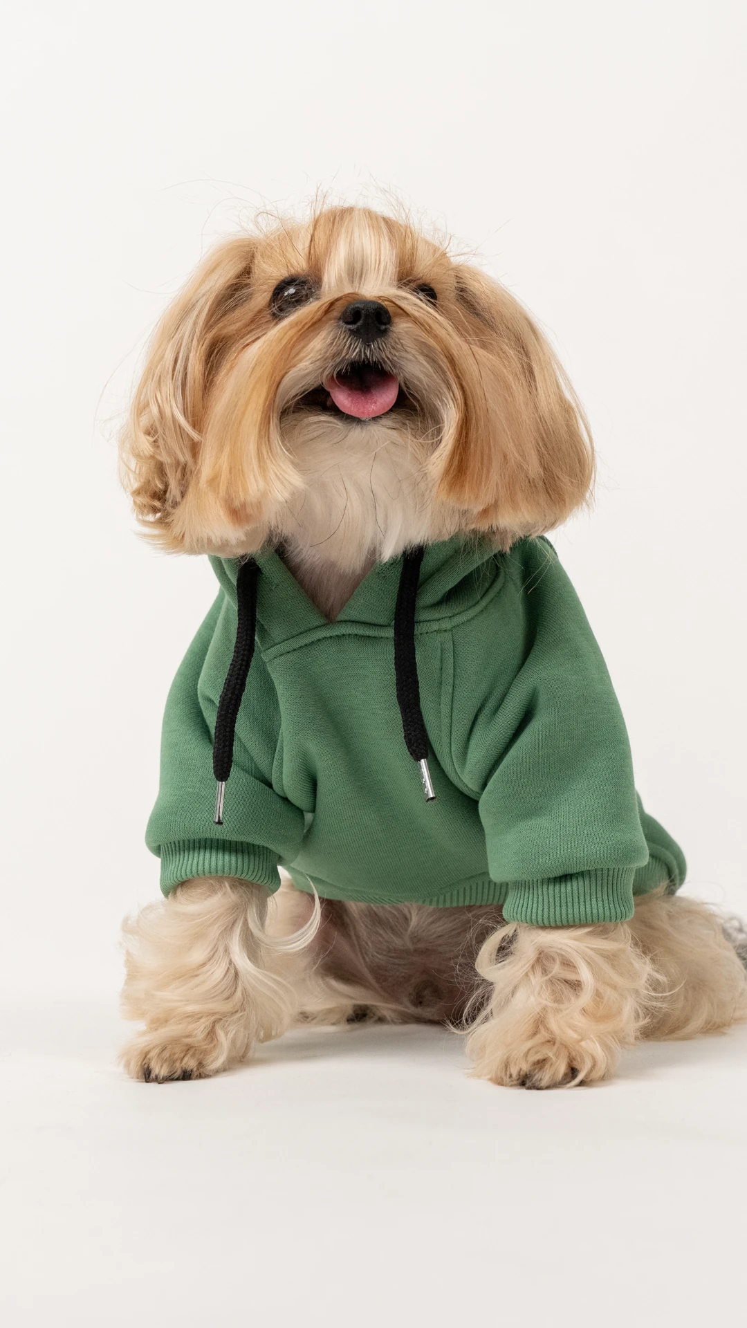 3'lü Yeşil Hoodie Kombin / Kadın-Erkek-Dost