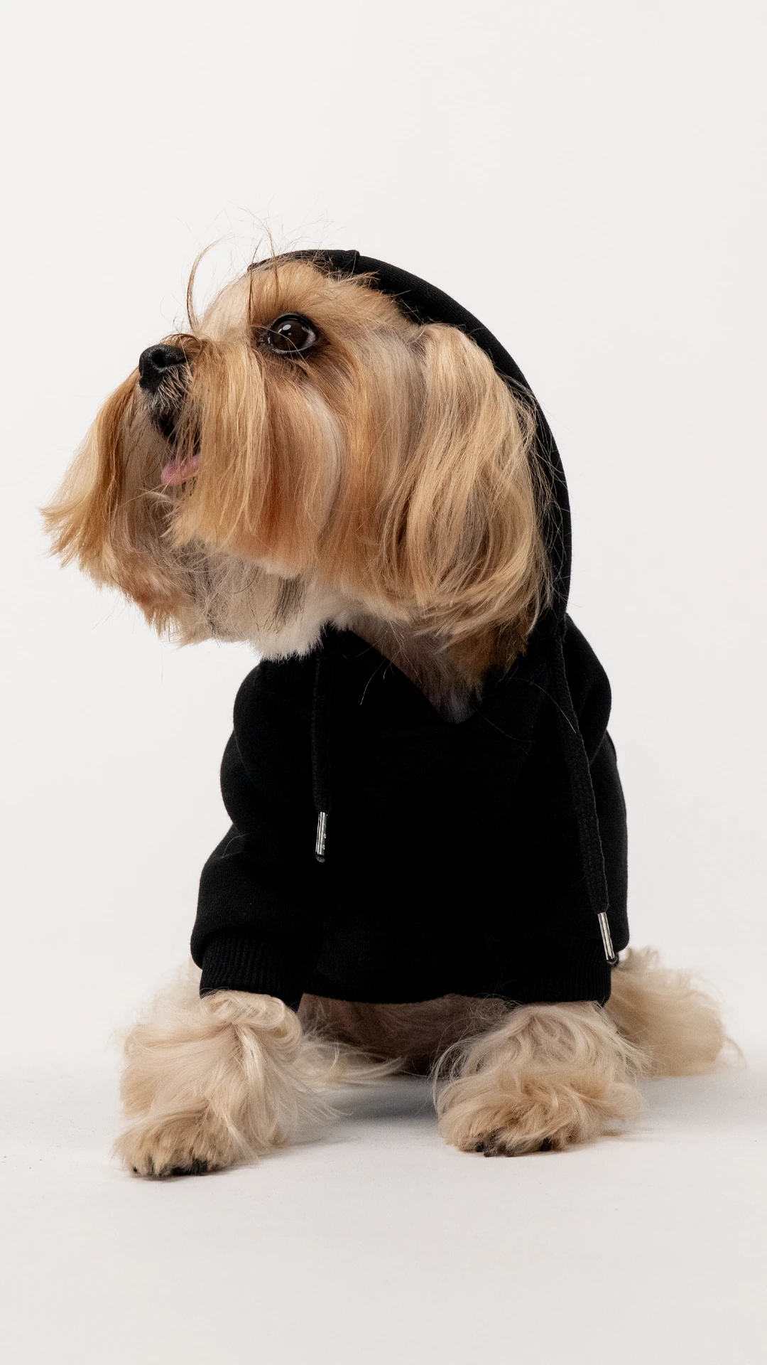 2'li Siyah Hoodie Kombin / Unisex-Dost