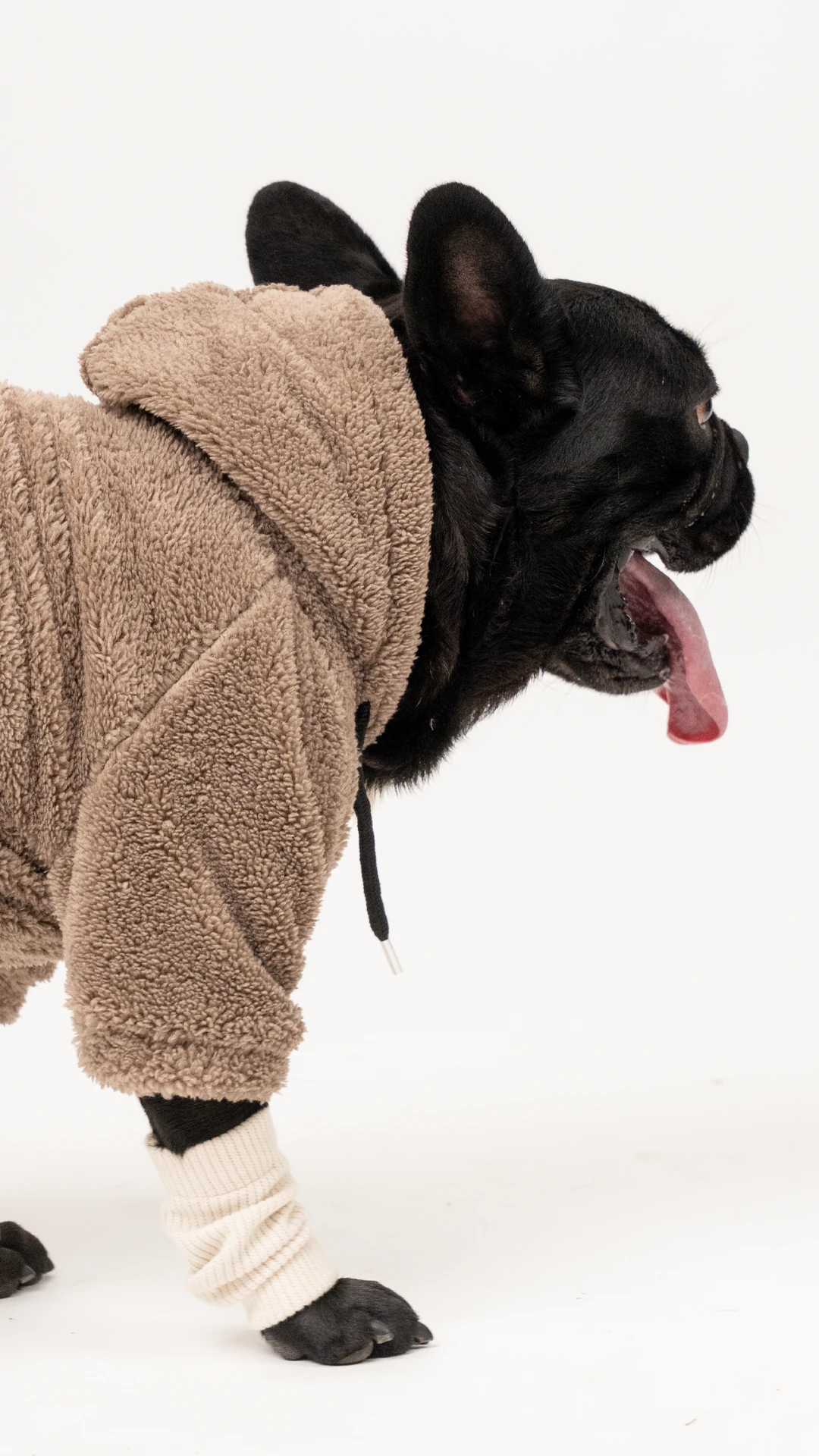 Köpek Wellsoft - Kahverengi image