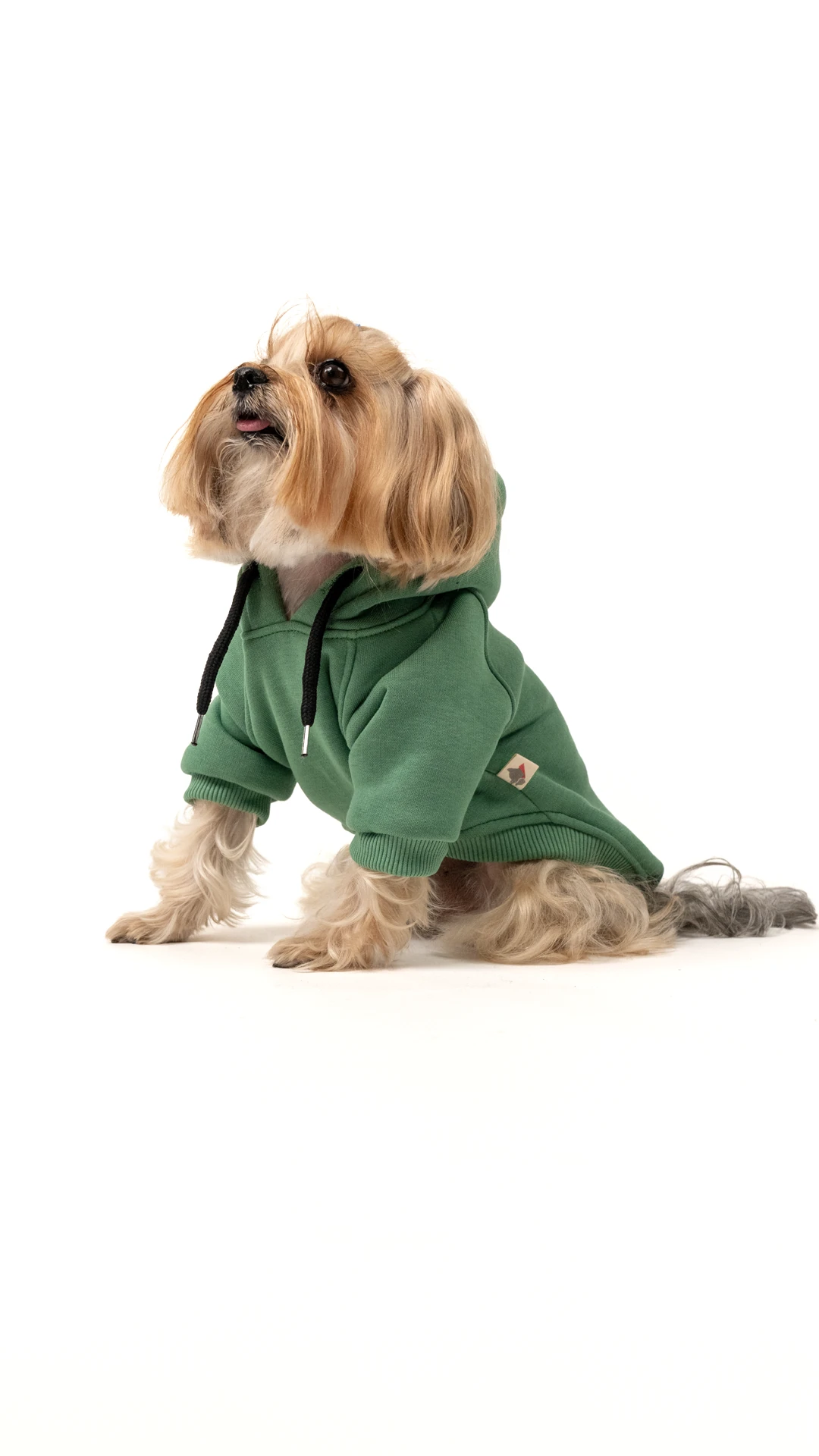 3'lü Yeşil Hoodie Kombin / Kadın-Erkek-Dost