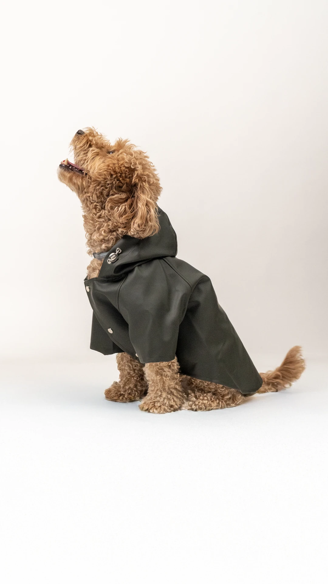 Köpek Yağmurluk - Haki image