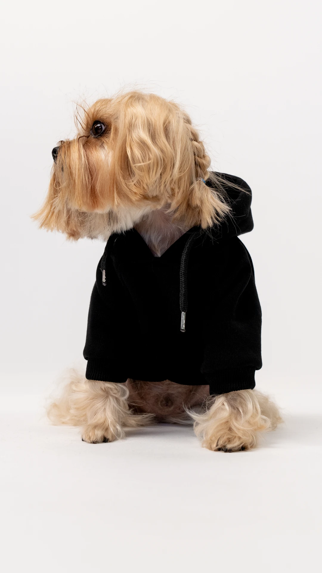 Köpek Hoodie - Siyah image